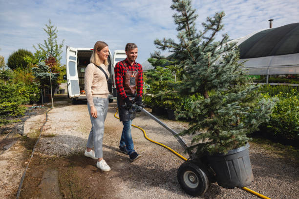 Best Tree Fertilization  in USA